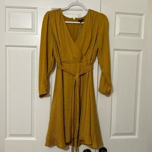 Pretty Ann Taylor Flare Dress
